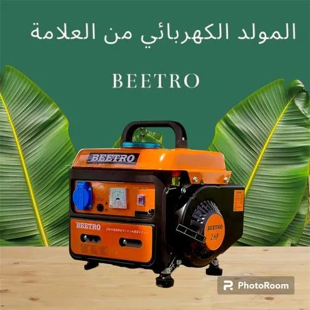 GROUPE ELECTROGENE GAZOAL 750W 220V BEETRO